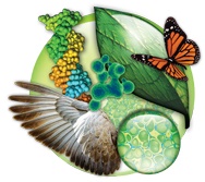 biologia3