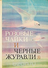 5ja rubrika k vyst2017 kn.5