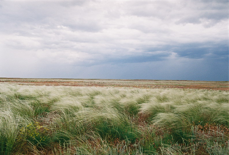 ilichevskoe urochishhe leto