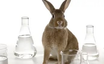 vsemirnyj den zashhity laboratornykh zhivotnykh652