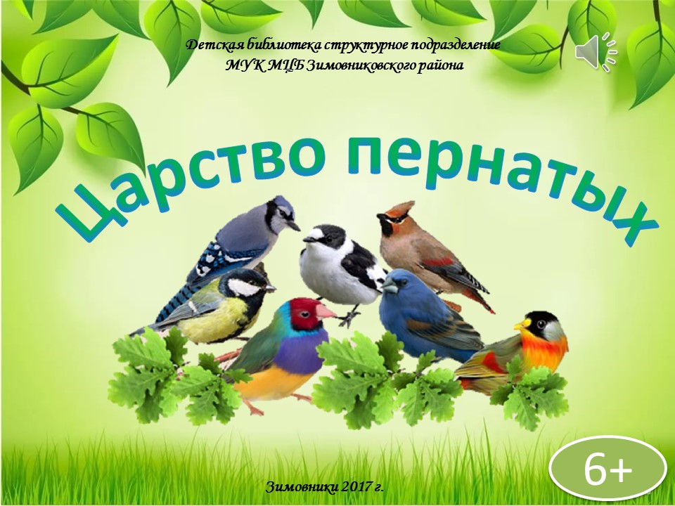 carstvo pernatykh