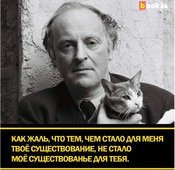 brandcat