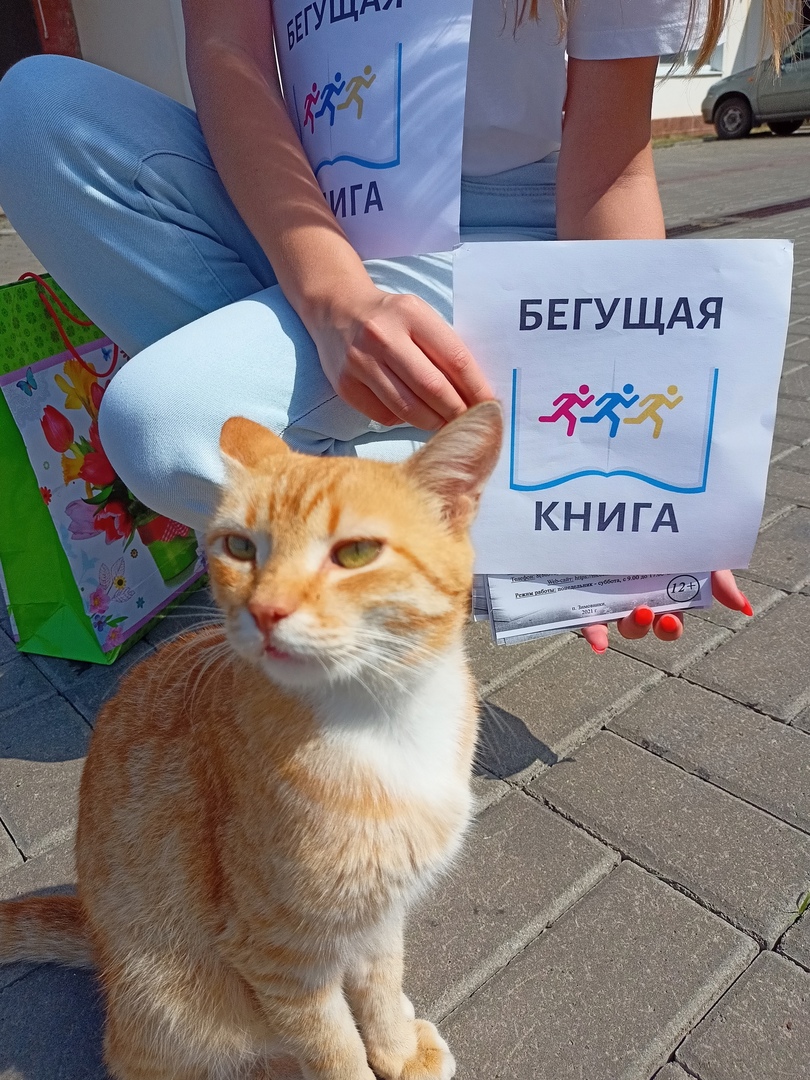 Бегщая книга 4 ЦБЗимовники