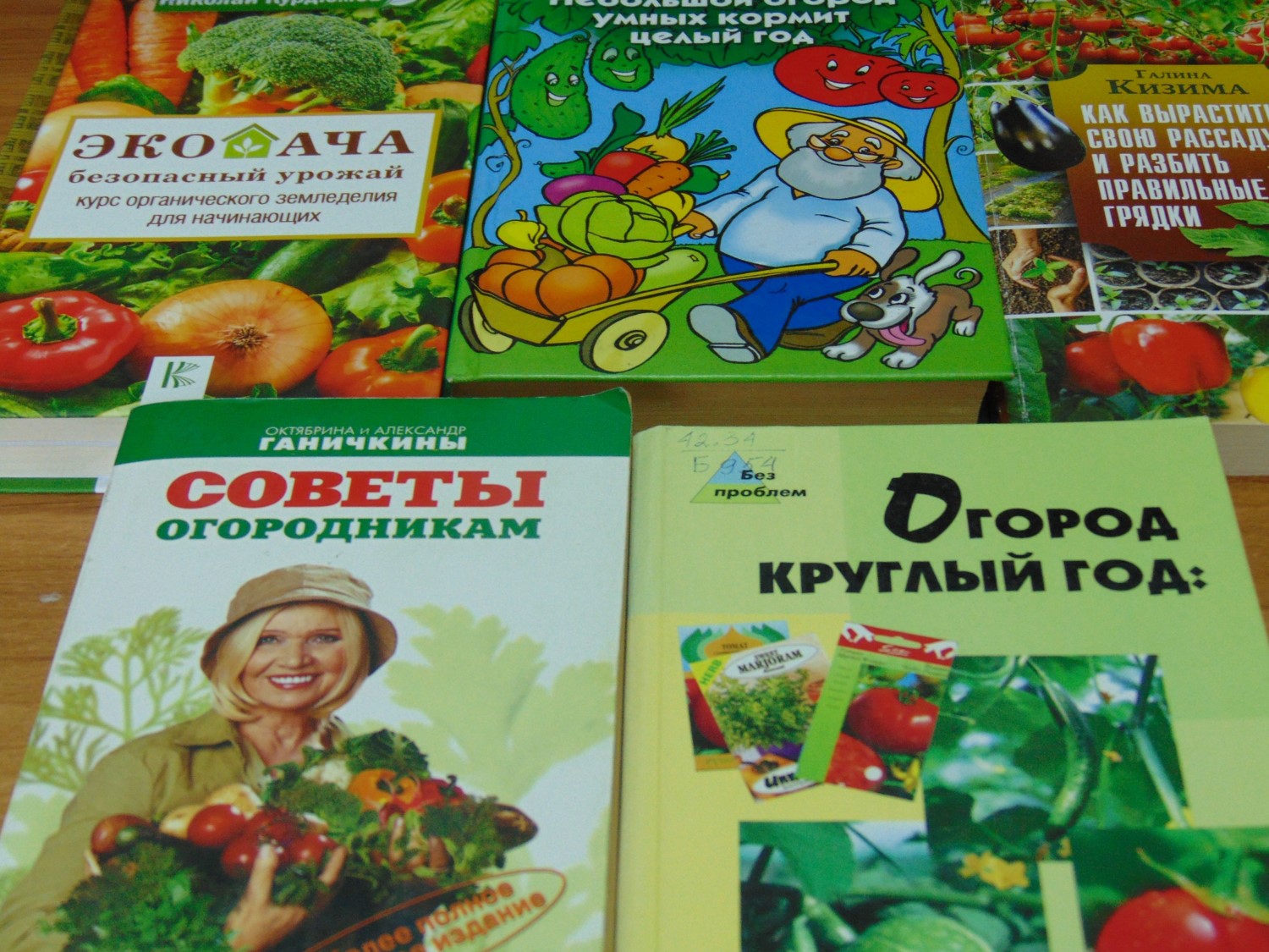 Фото 2. 20.04.2023 Беседа диалог Ягоды овощи фрукты полезные продукты. ЦБ