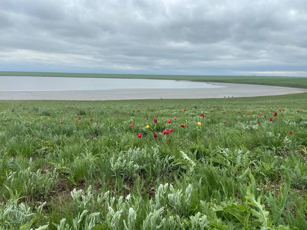 Фото 4. 15.04.2023 Фестиваль экологического туризма Воспетая степь. ЦБ