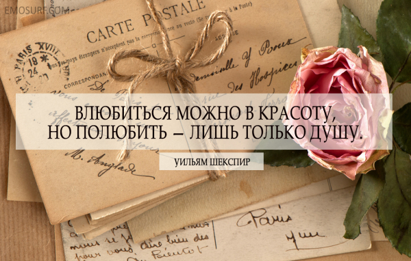 Мудрость вне времени цитаты10
