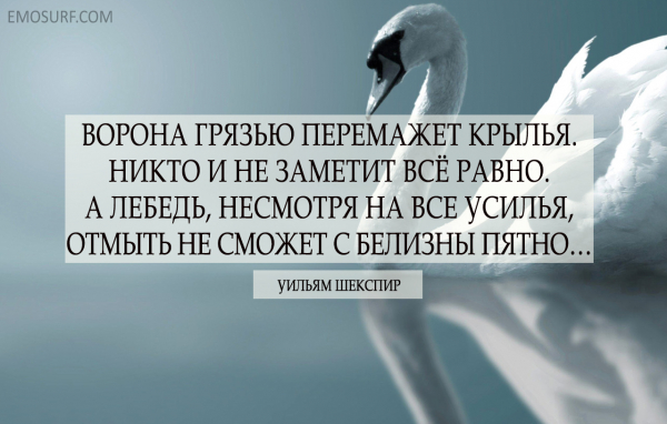 Мудрость вне времени цитаты13