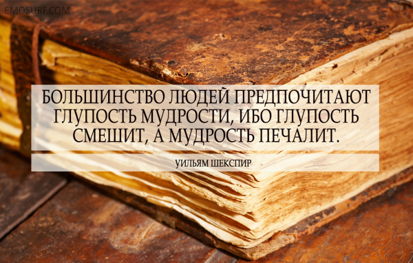 Мудрость вне времени цитаты5