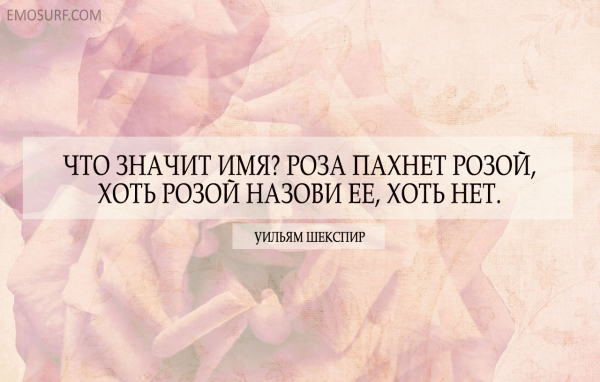 Мудрость вне времени цитаты6
