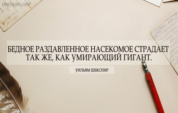 Мудрость вне времени цитаты9